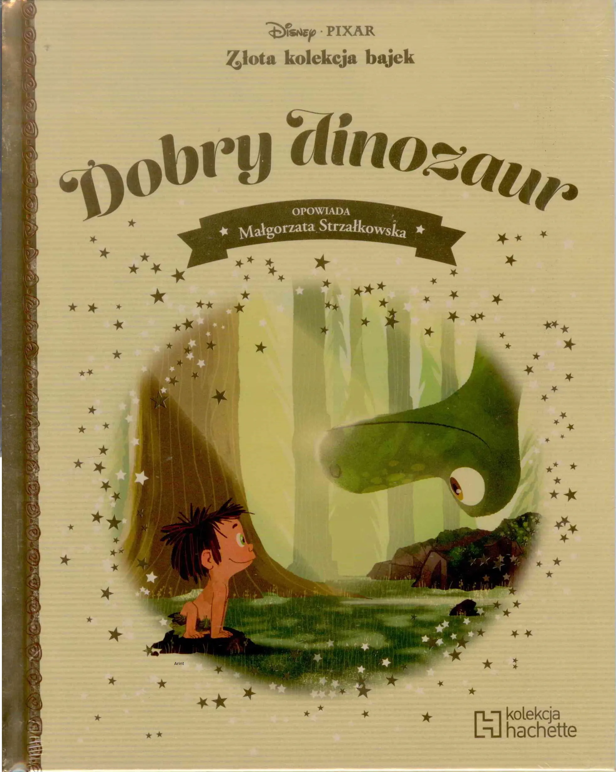 Książka - Dobry dinozaur