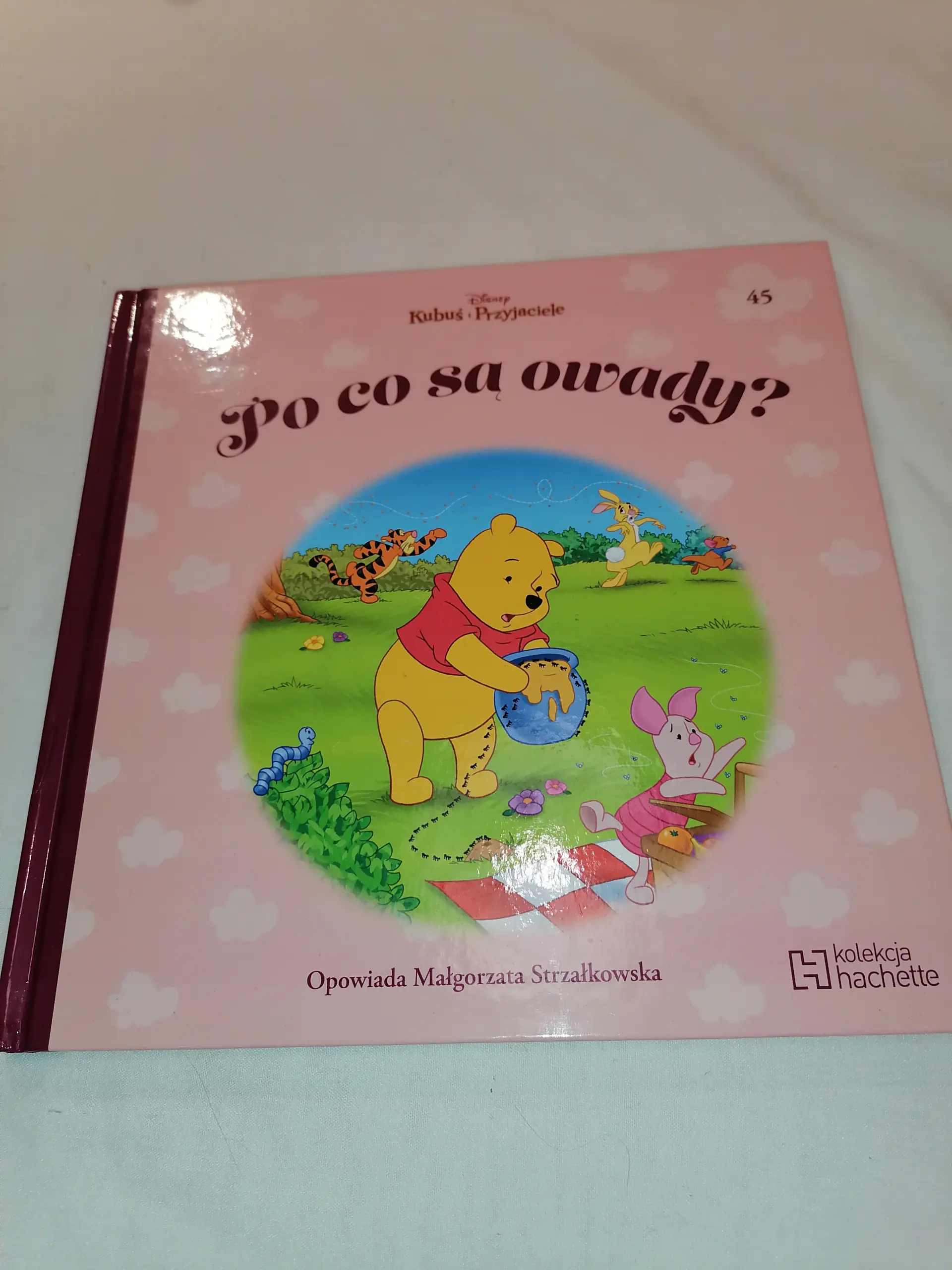 Książka - Kubuś i Przyjaciele – Po co są owady? (tom 45)