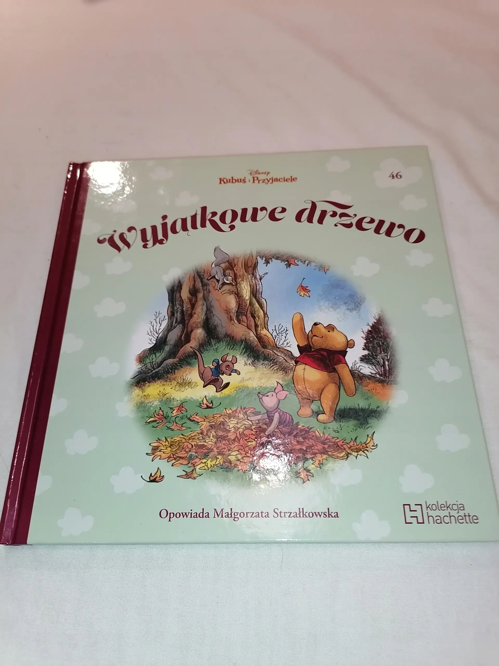 Książka - Kubuś i Przyjaciele – Wyjątkowe drzewo (tom 46)