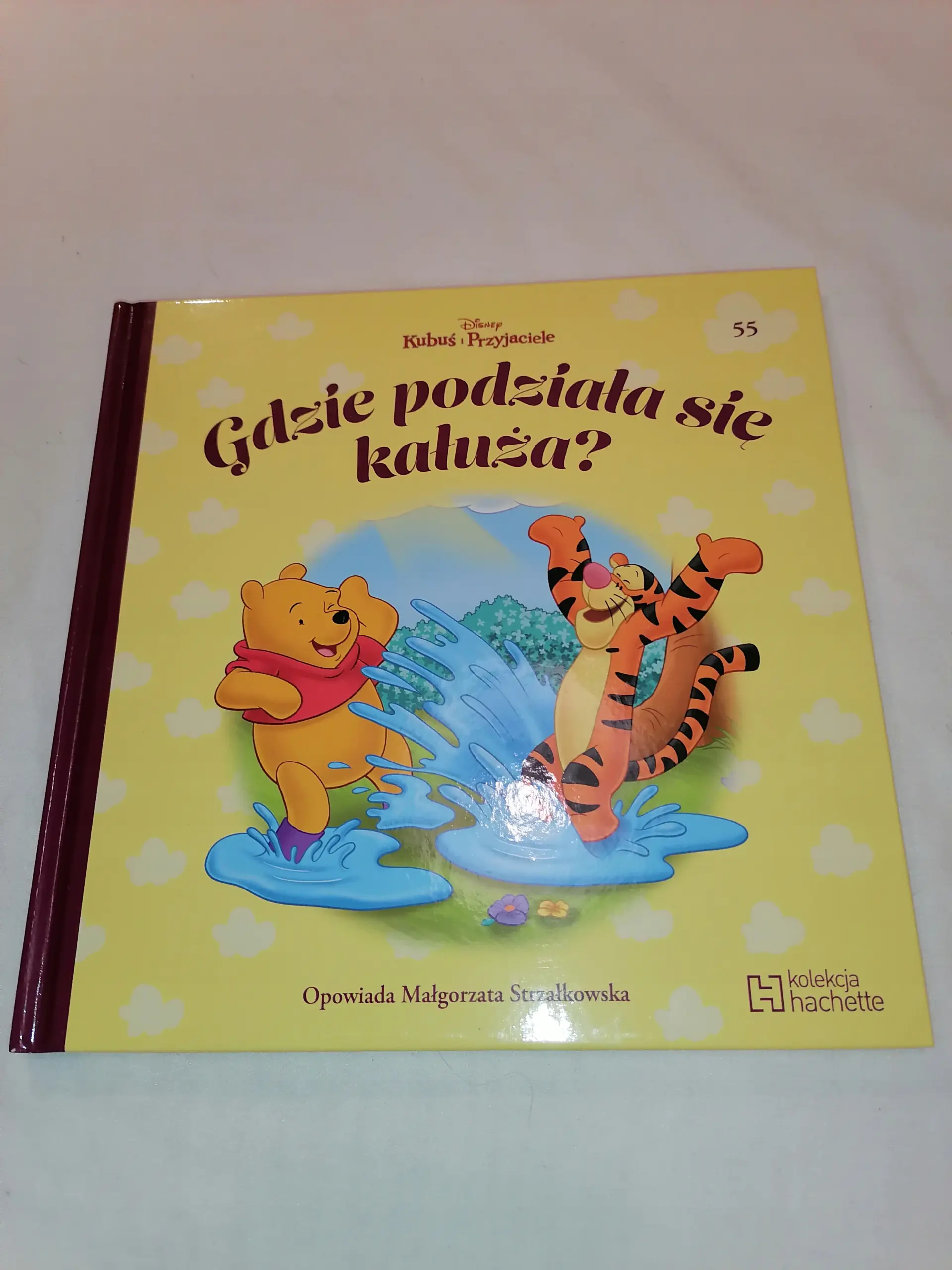 Książka - Gdzie podziała się kałuża?