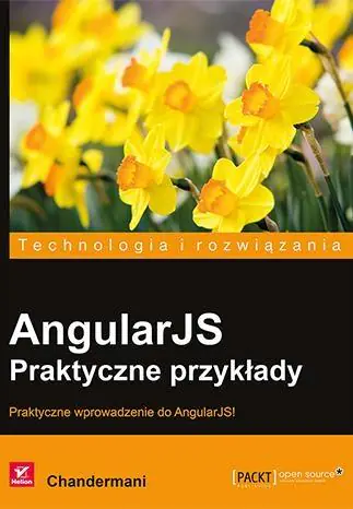 Książka - AngularJS. Praktyczne przykłady