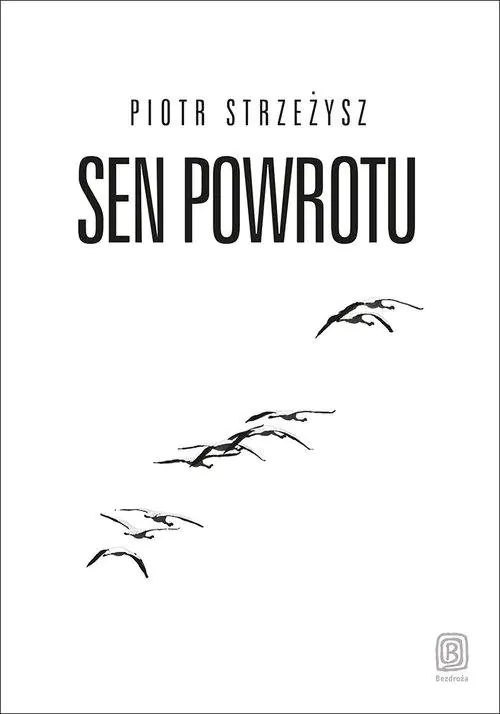 Książka - Sen powrotu