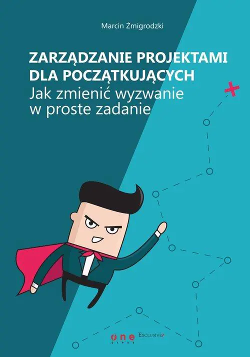 Książka - Zarządzanie projektami dla początkujących. Jak zmienić wyzwanie w proste zadanie
