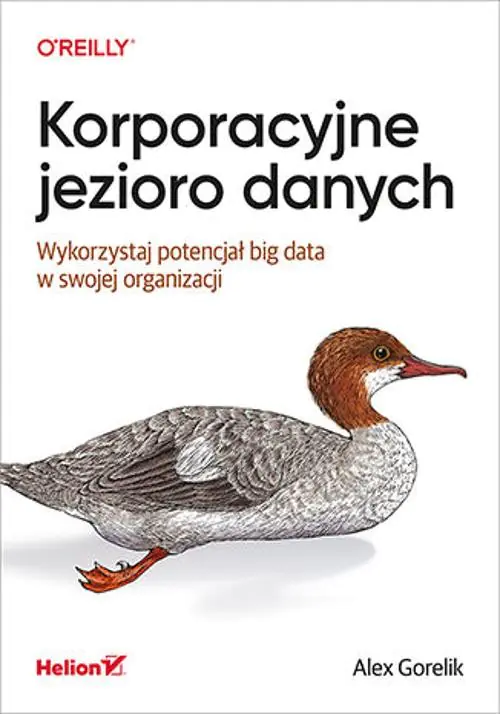 Książka - Korporacyjne jezioro danych. Wykorzystaj potencjał big data w swojej organizacji
