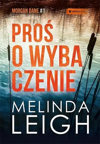 Książka - Proś o wybaczenie