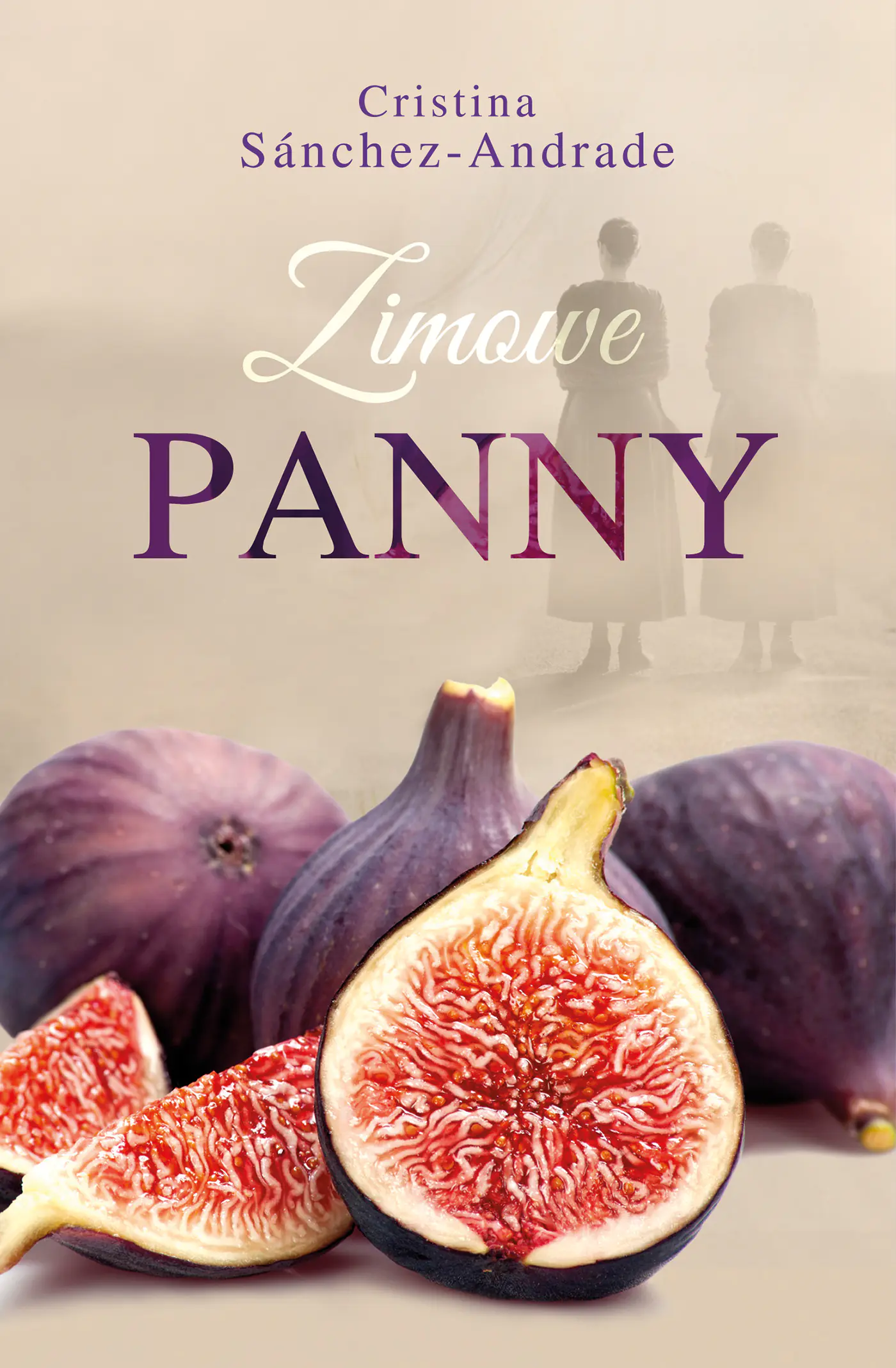 Książka - Zimowe panny