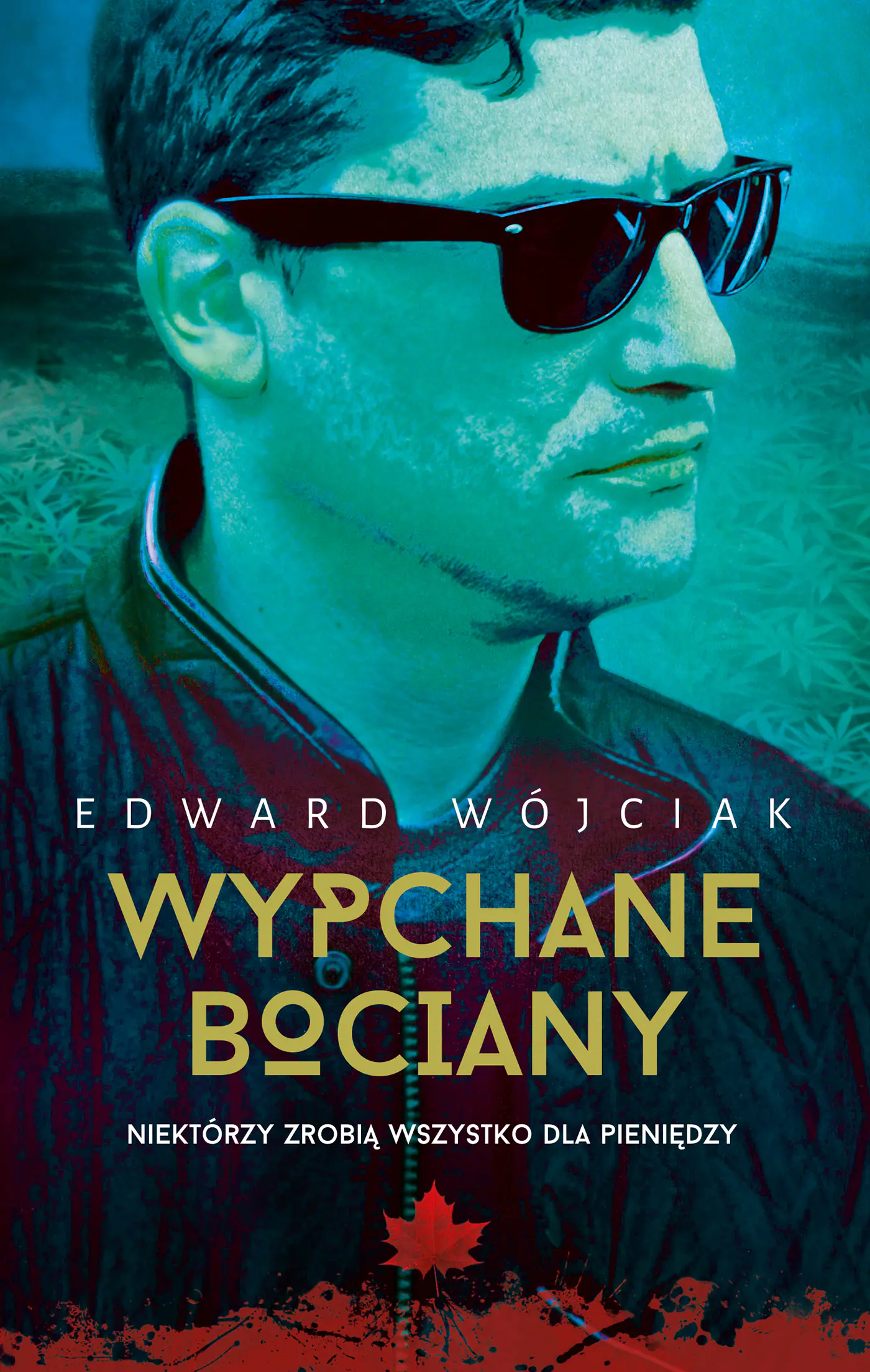 Książka - Wypchane bociany