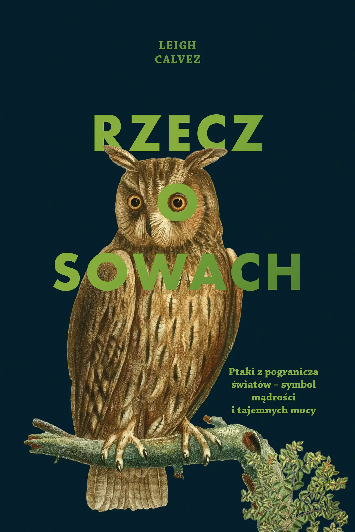 Książka - Rzecz o sowach