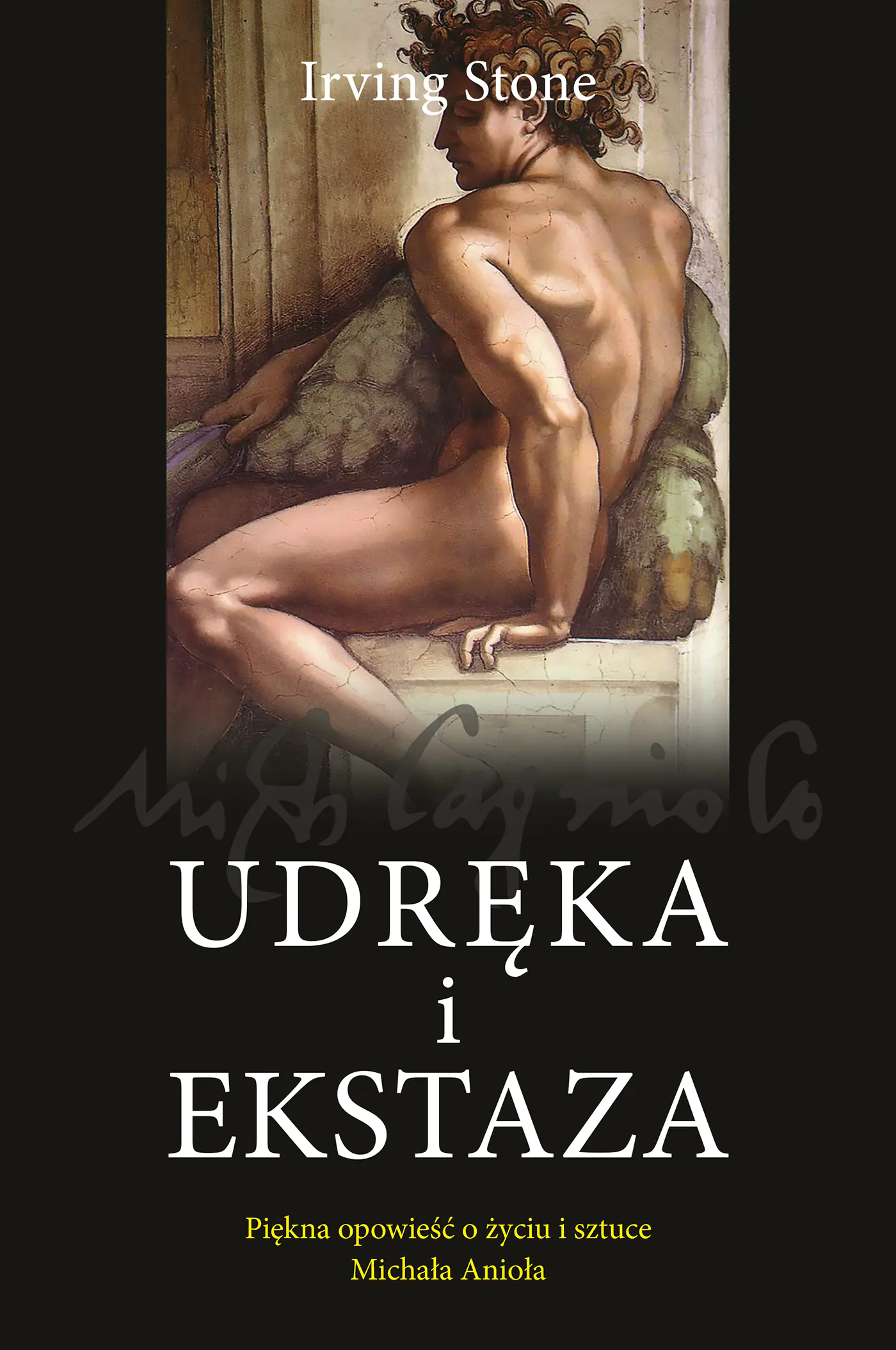 Książka - Udręka i ekstaza
