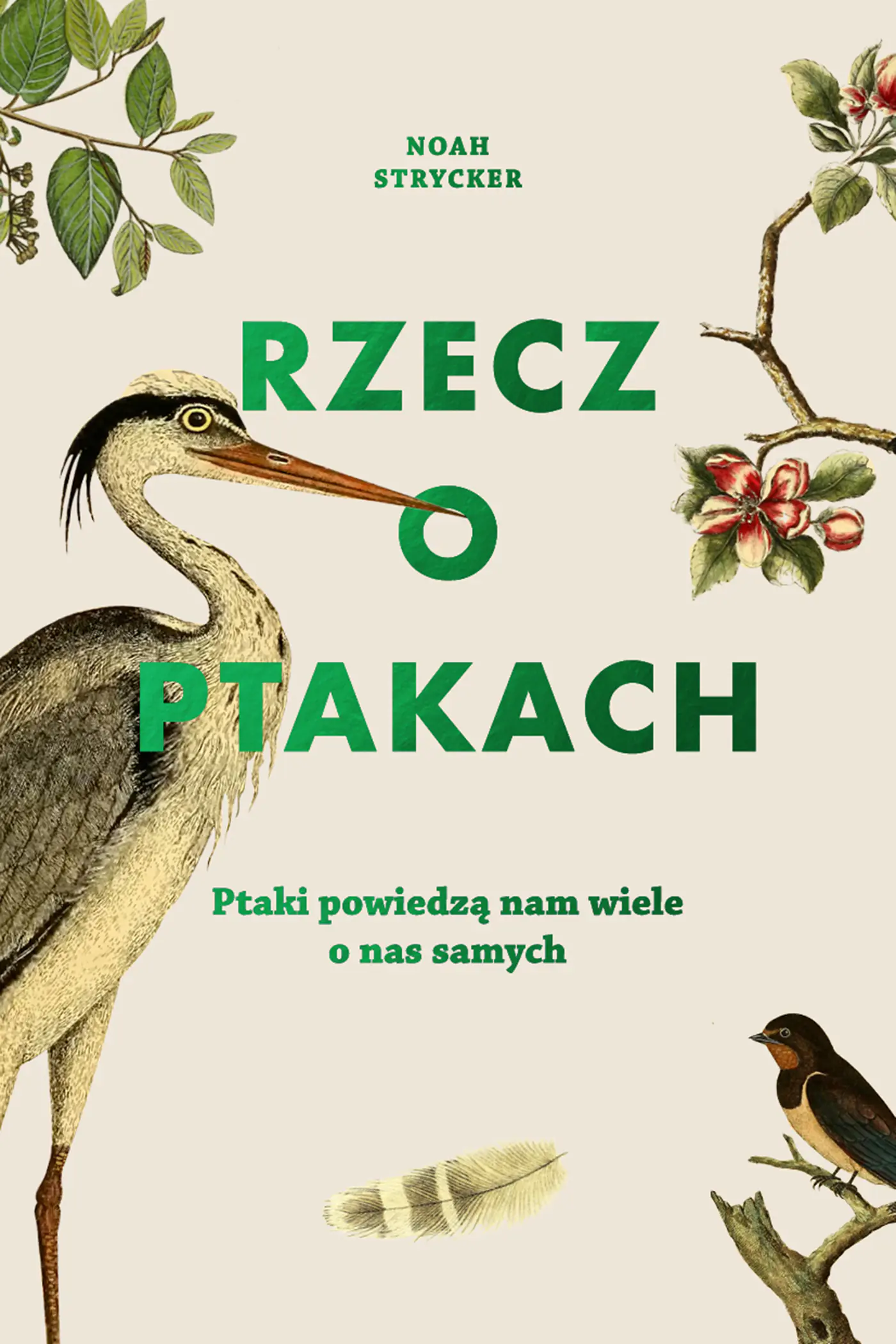 Książka - Rzecz o ptakach