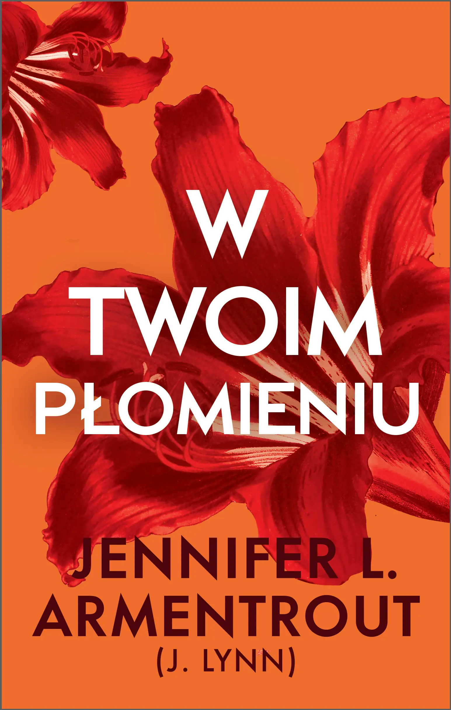 Książka - W twoim płomieniu