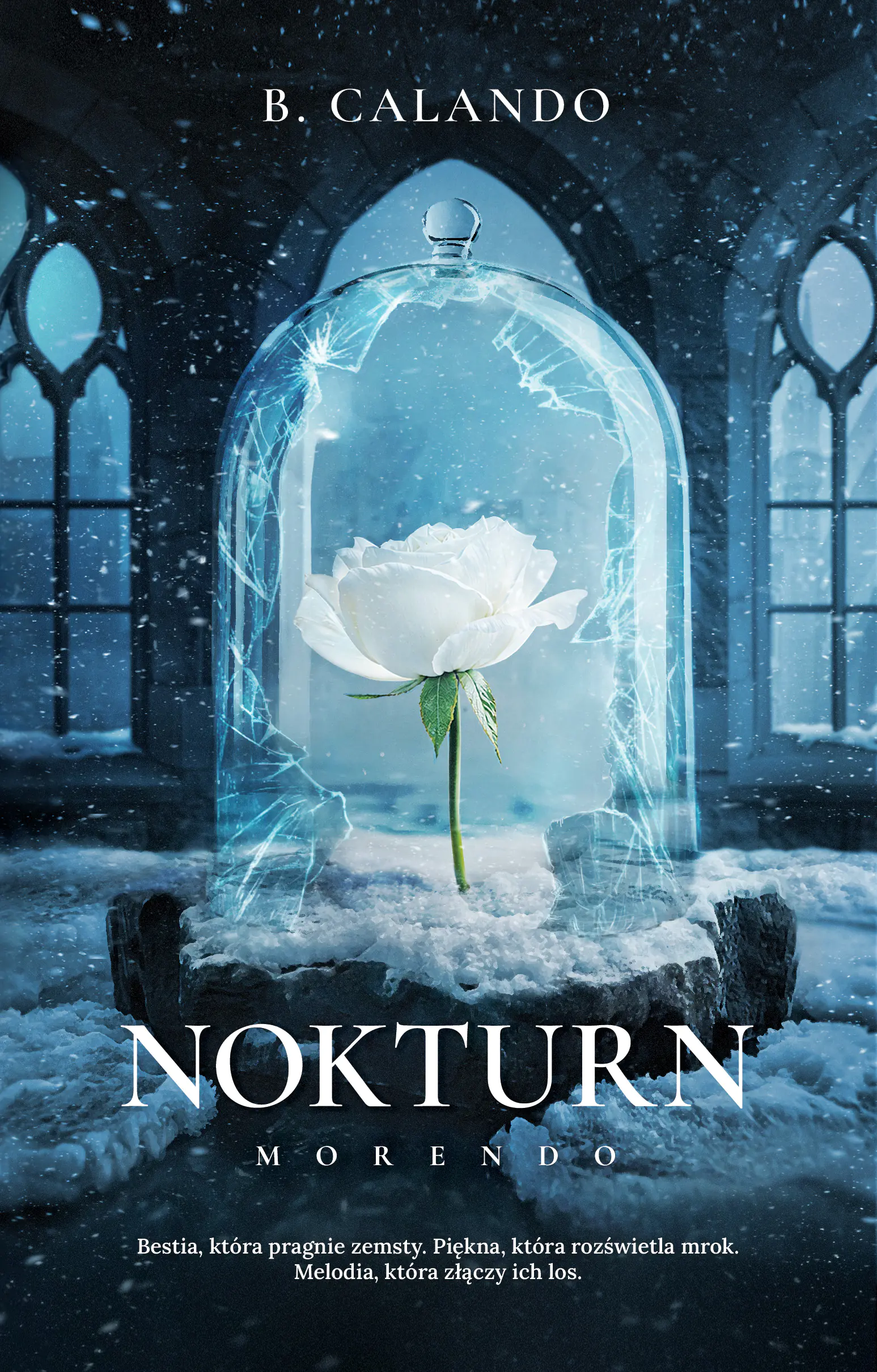 Książka - Nokturn