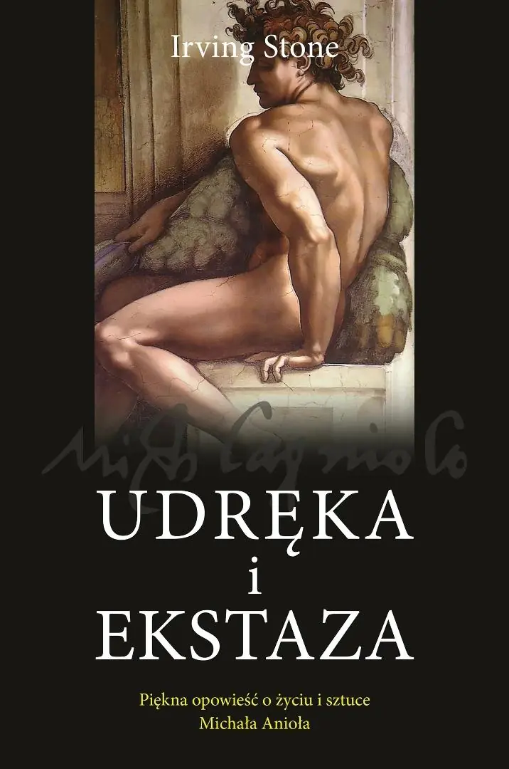 Książka - Udręka i ekstaza