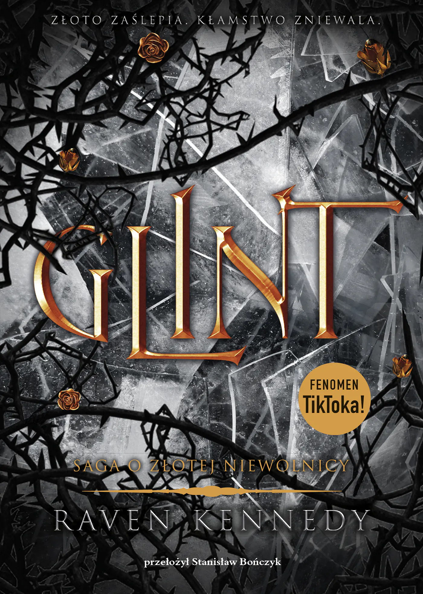 Książka - Glint