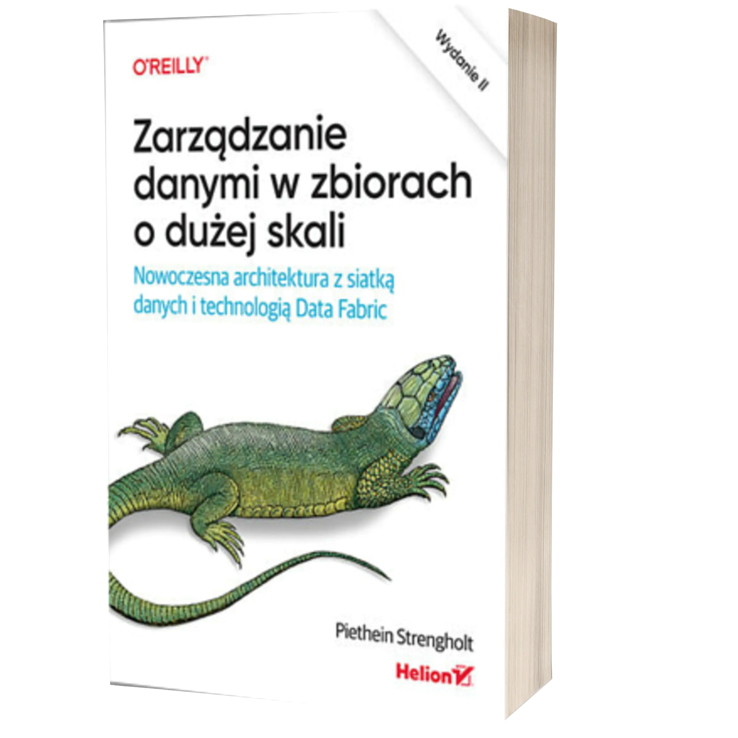 Książka - Zarządzanie danymi w zbiorach o dużej skali. Nowoczesna architektura z siatką danych i technologią Data Fabric