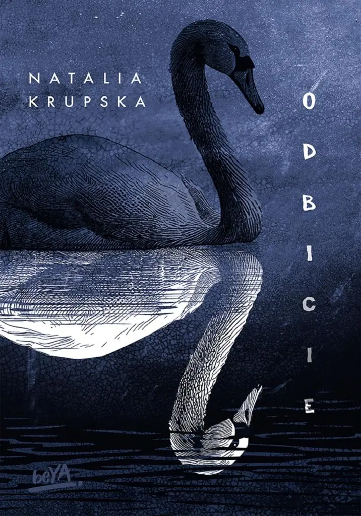 Książka - Odbicie