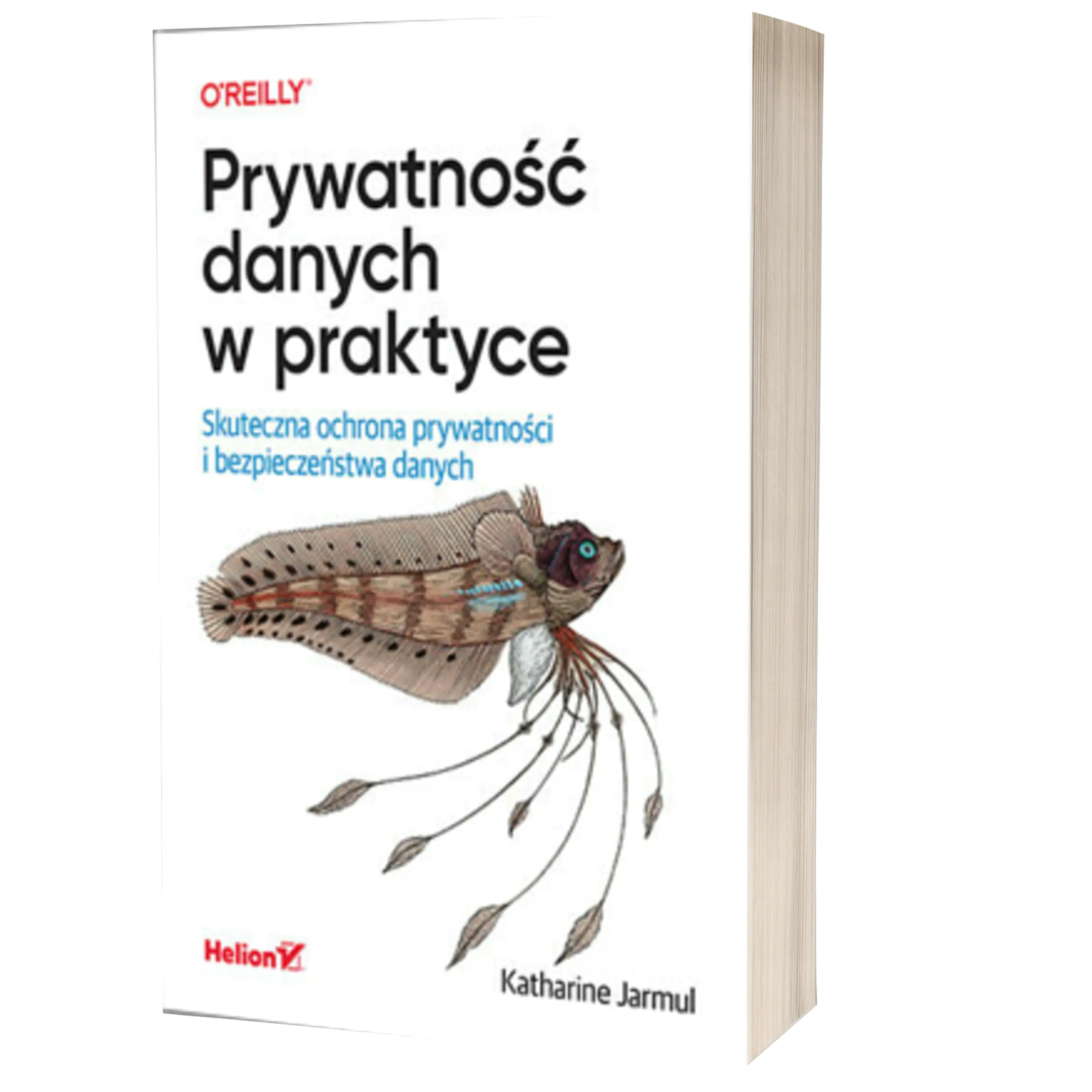 Książka - Prywatność danych w praktyce