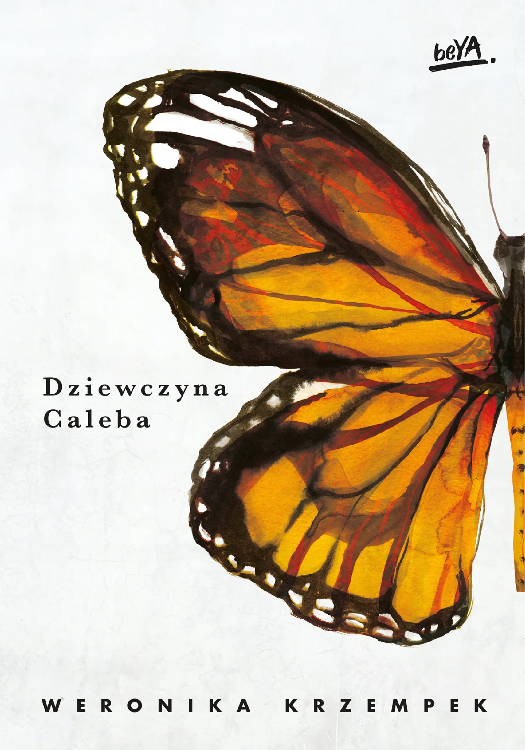Książka - Dziewczyna Caleba