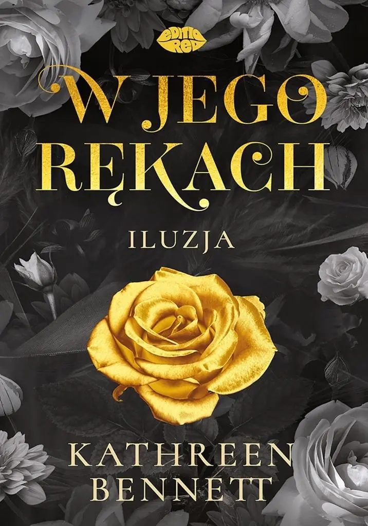 Książka - W jego rękach. Iluzja