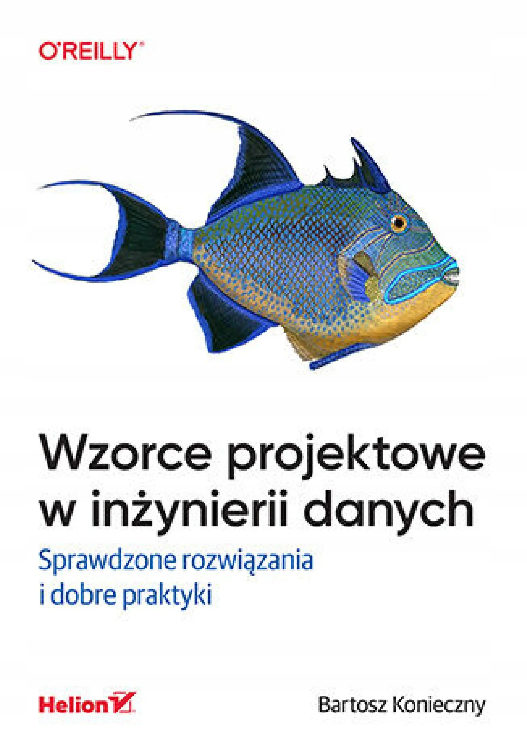 Książka - Wzorce projektowe w inżynierii danych. Sprawdzone rozwiązania i dobre praktyki