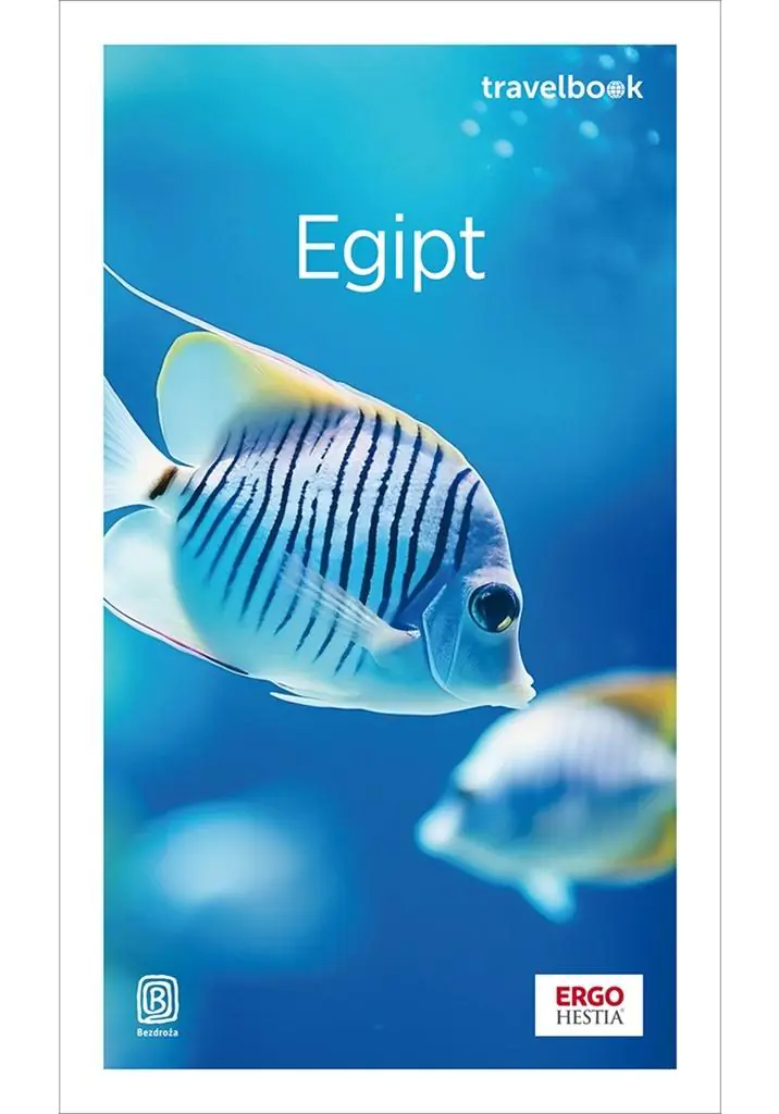 Książka - Egipt. Travelbook. Wydanie 4