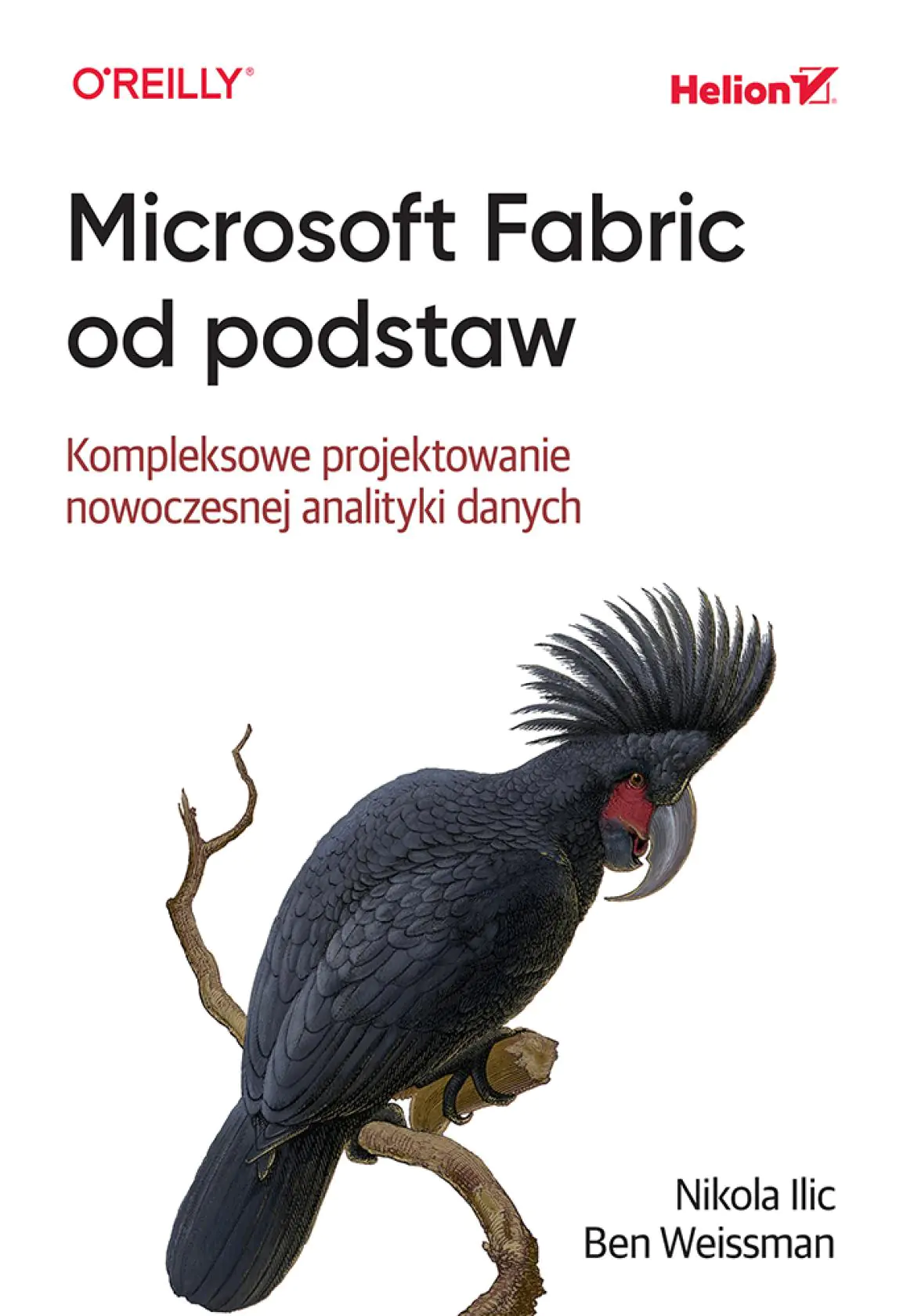 Książka - Microsoft Fabric od podstaw. Kompleksowe projektowanie nowoczesnej analityki danych
