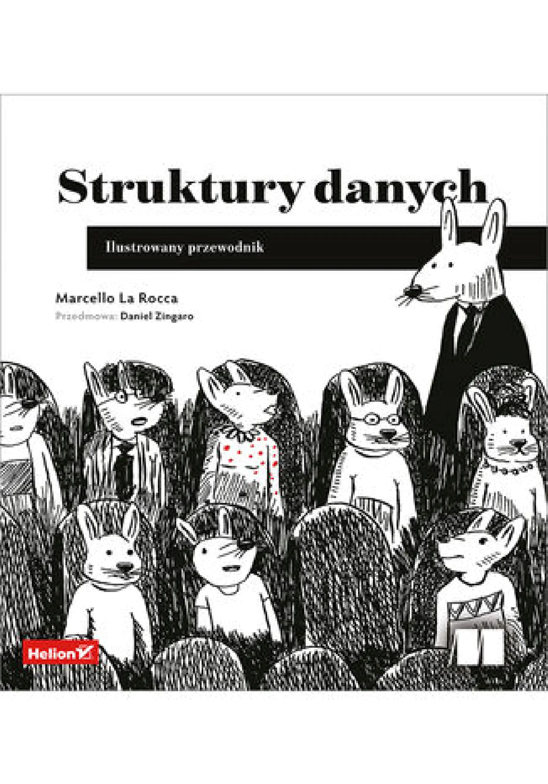 Książka - Struktury danych. Ilustrowany przewodnik
