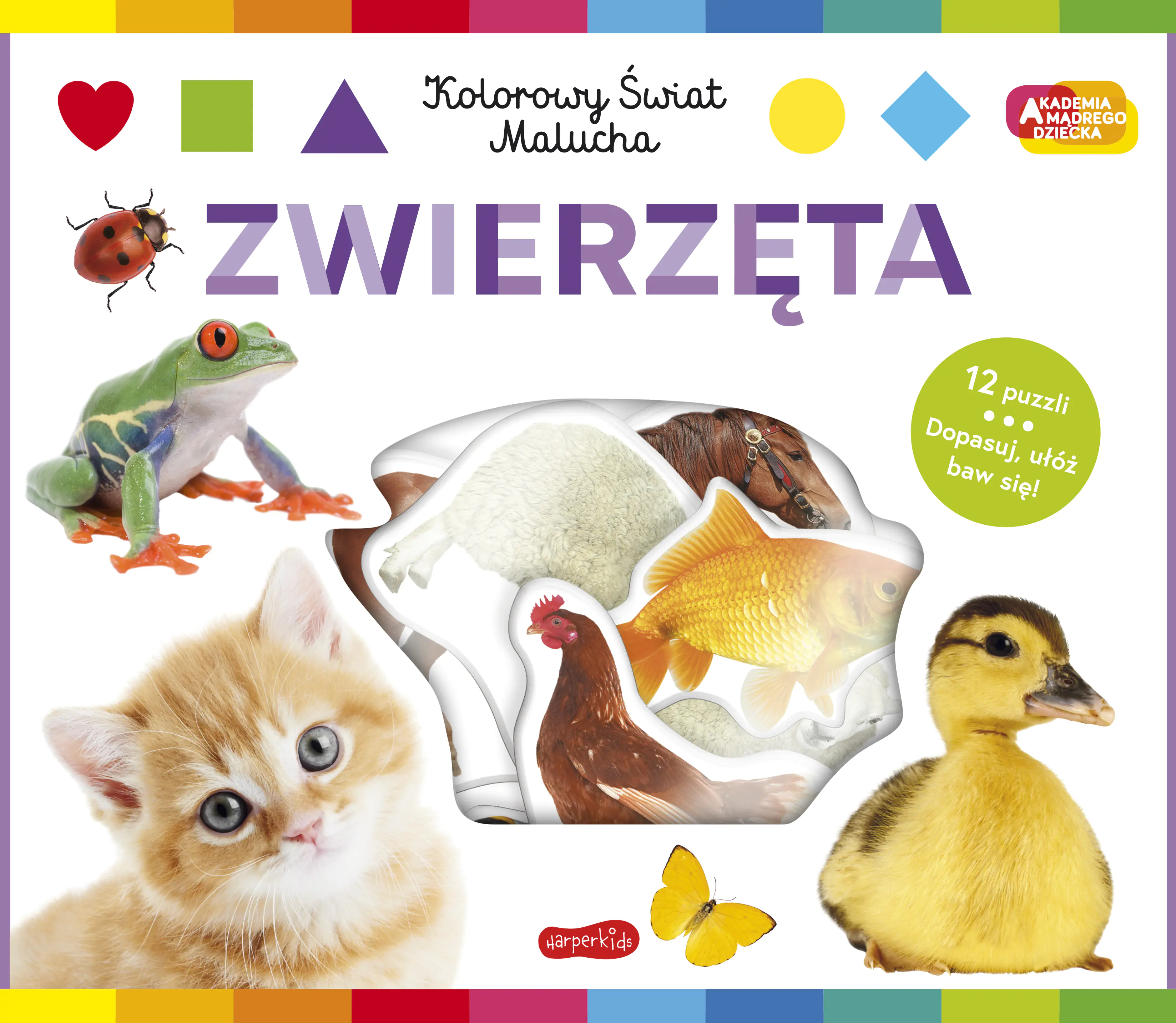 Książka - Zwierzęta. Akademia mądrego dziecka. Kolorowy świat malucha