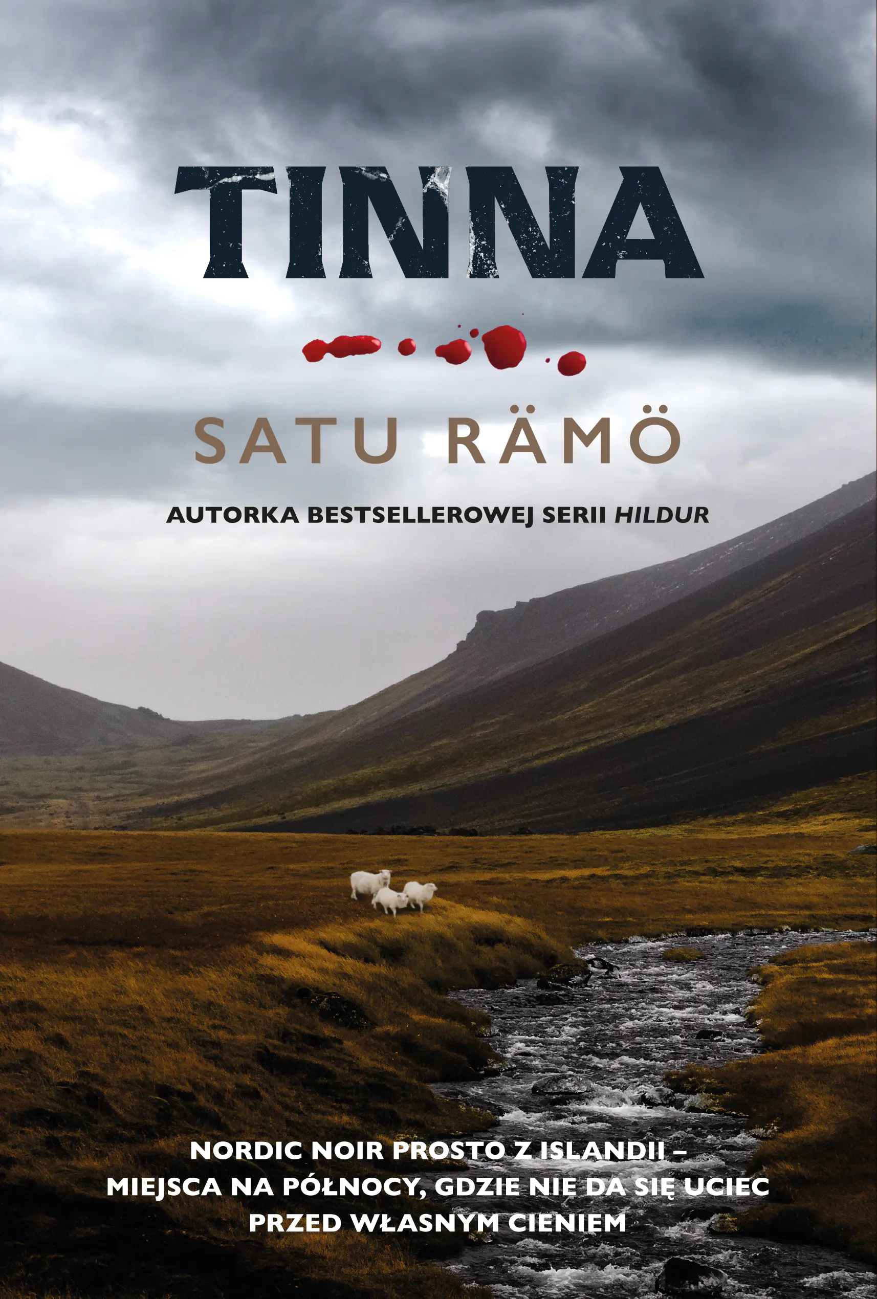 Książka - Tinna