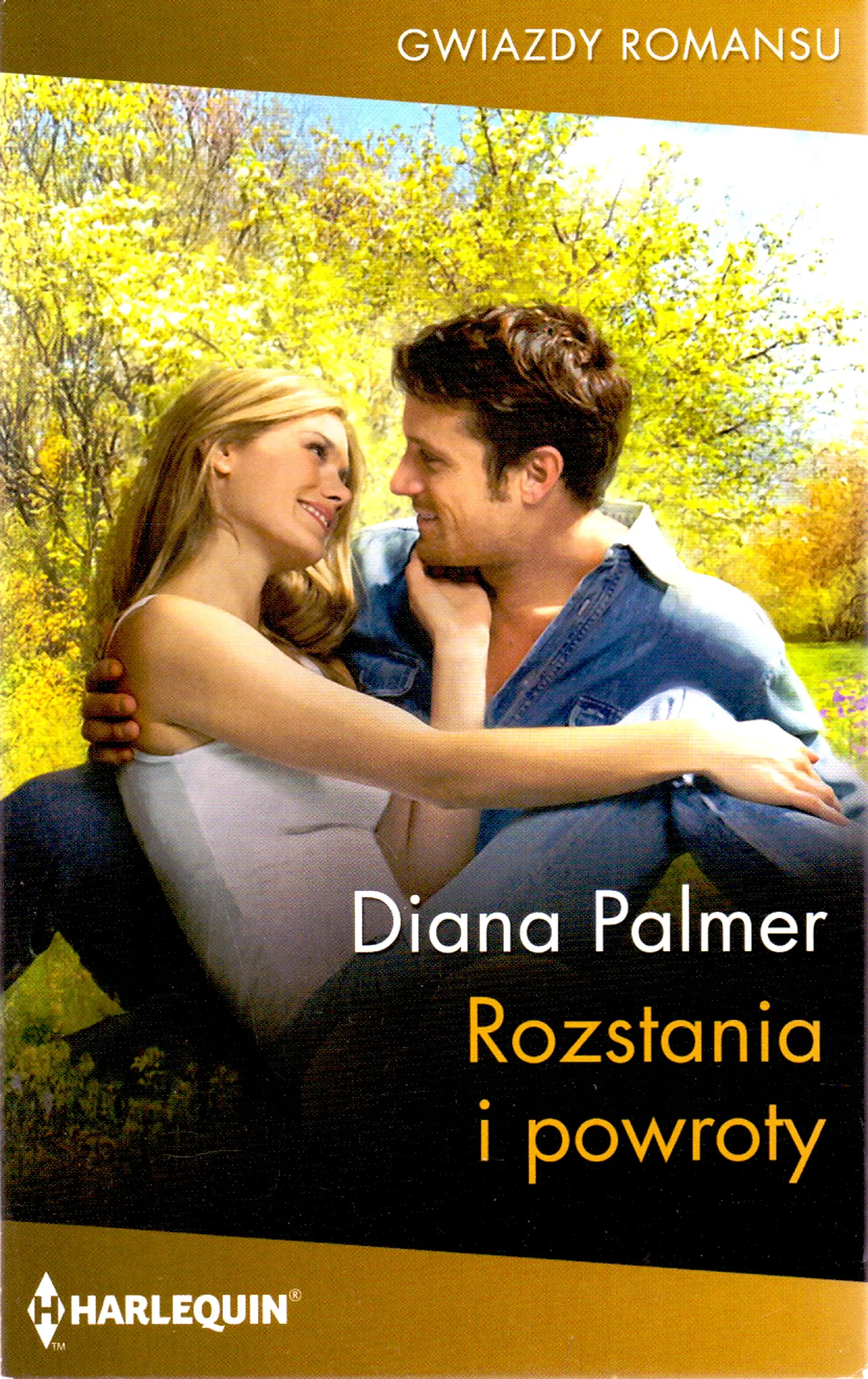 Książka - Rozstania i powroty