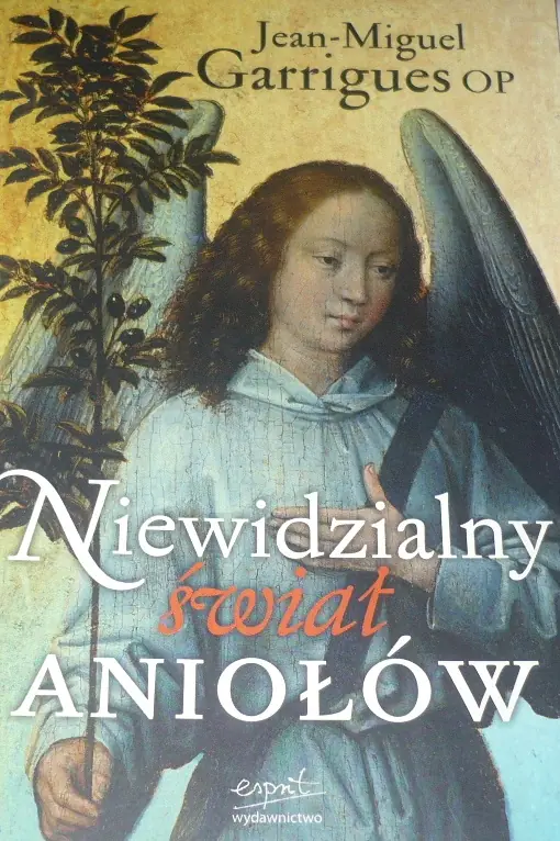 Książka - Niewidzialny świat aniołów
