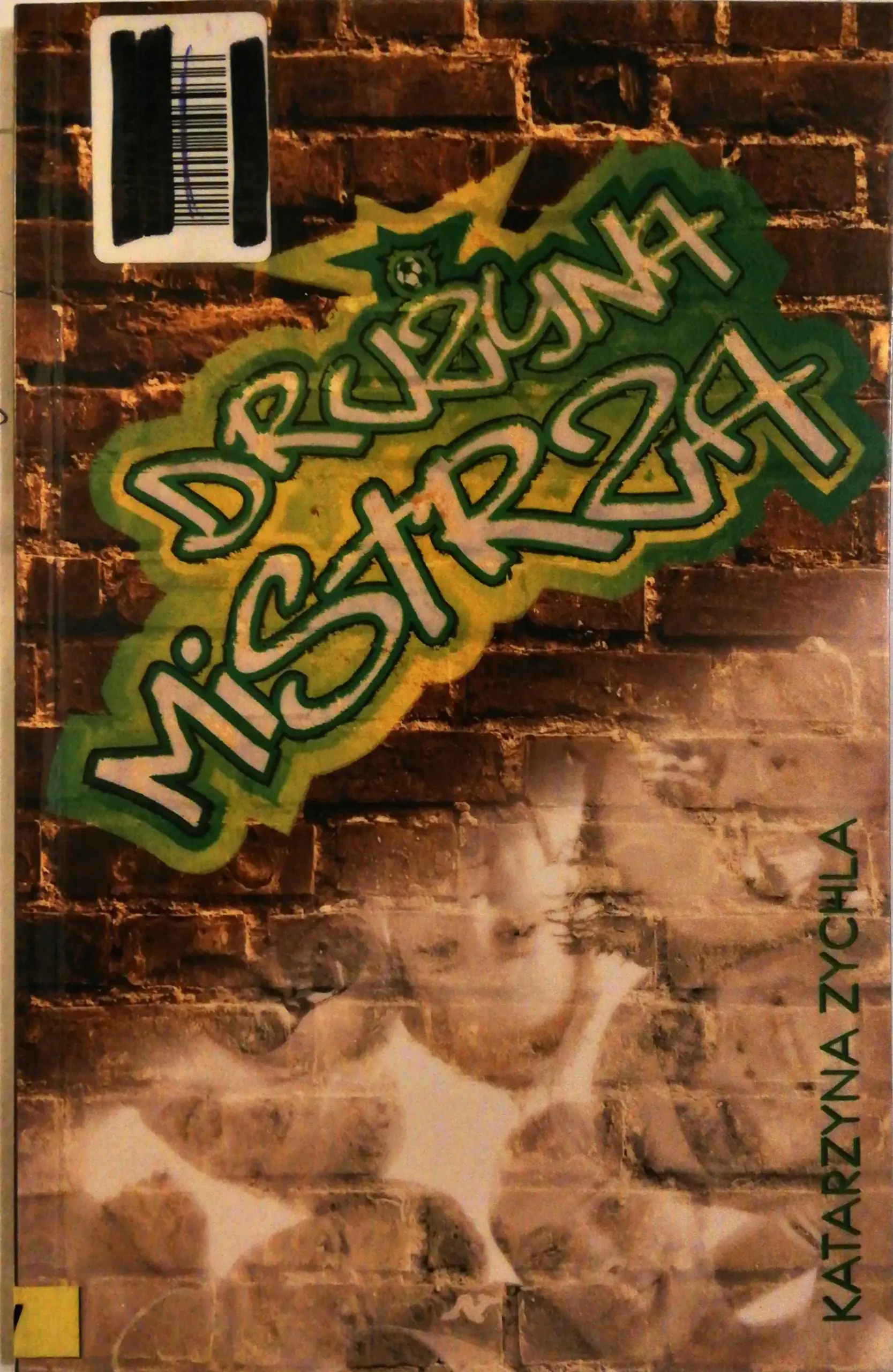 Książka - Drużyna Mistrza