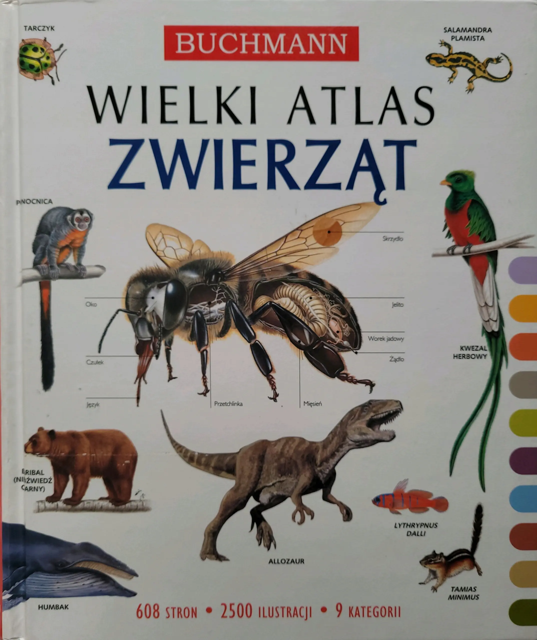 Książka - Wielki Atlas Zwierząt