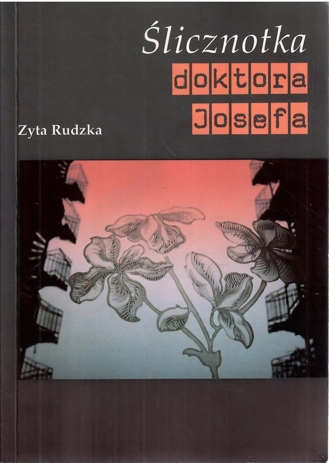 Książka - Ślicznotka doktora Josefa
