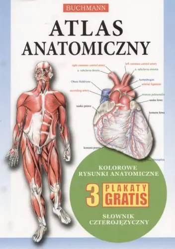 Książka - Atlas Anatomiczny