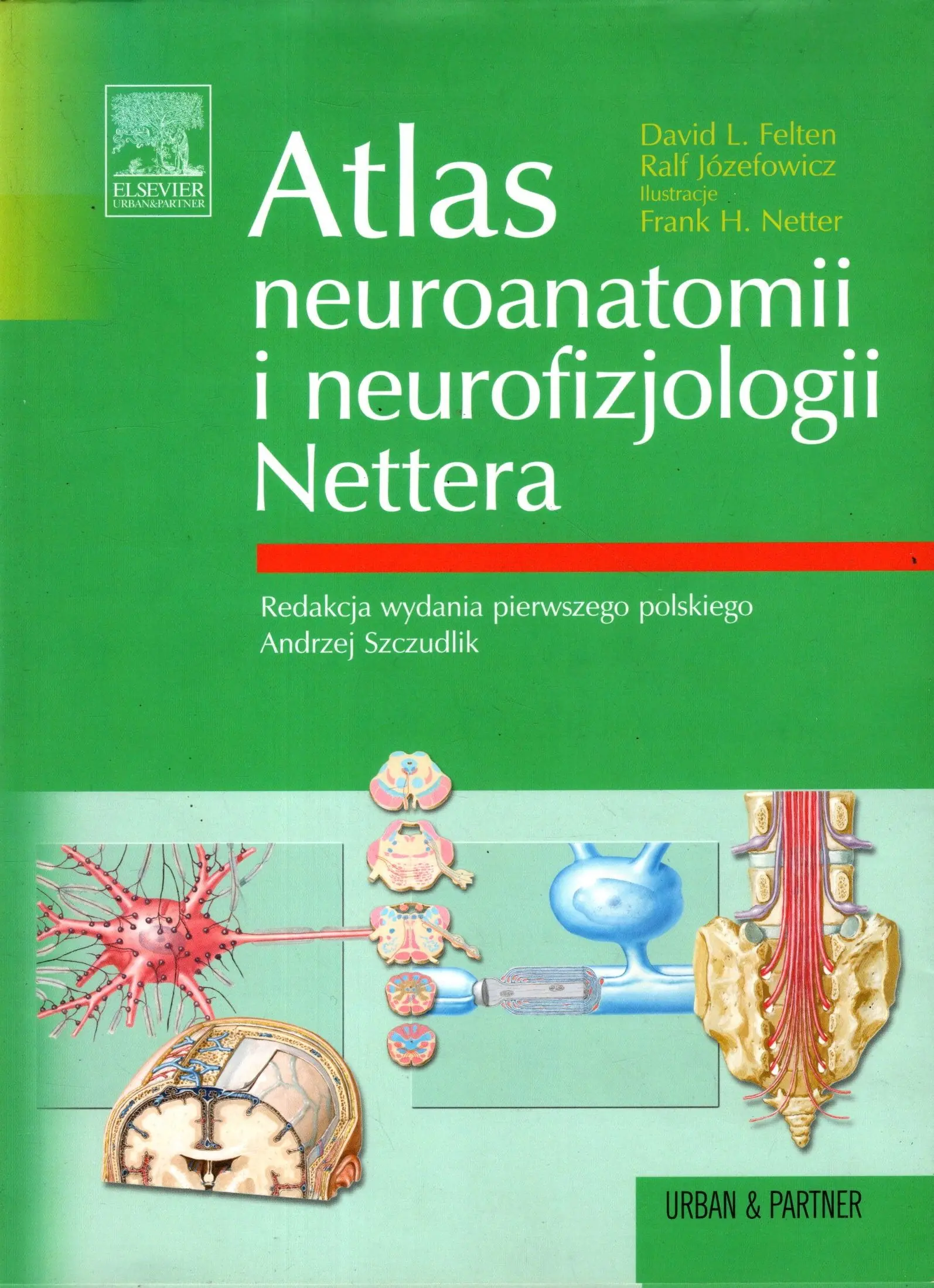 Książka - Atlas neuroanatomii i neurofizjologii Nettera