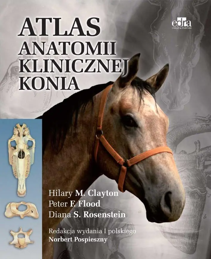 Książka - Atlas anatomii klinicznej konia
