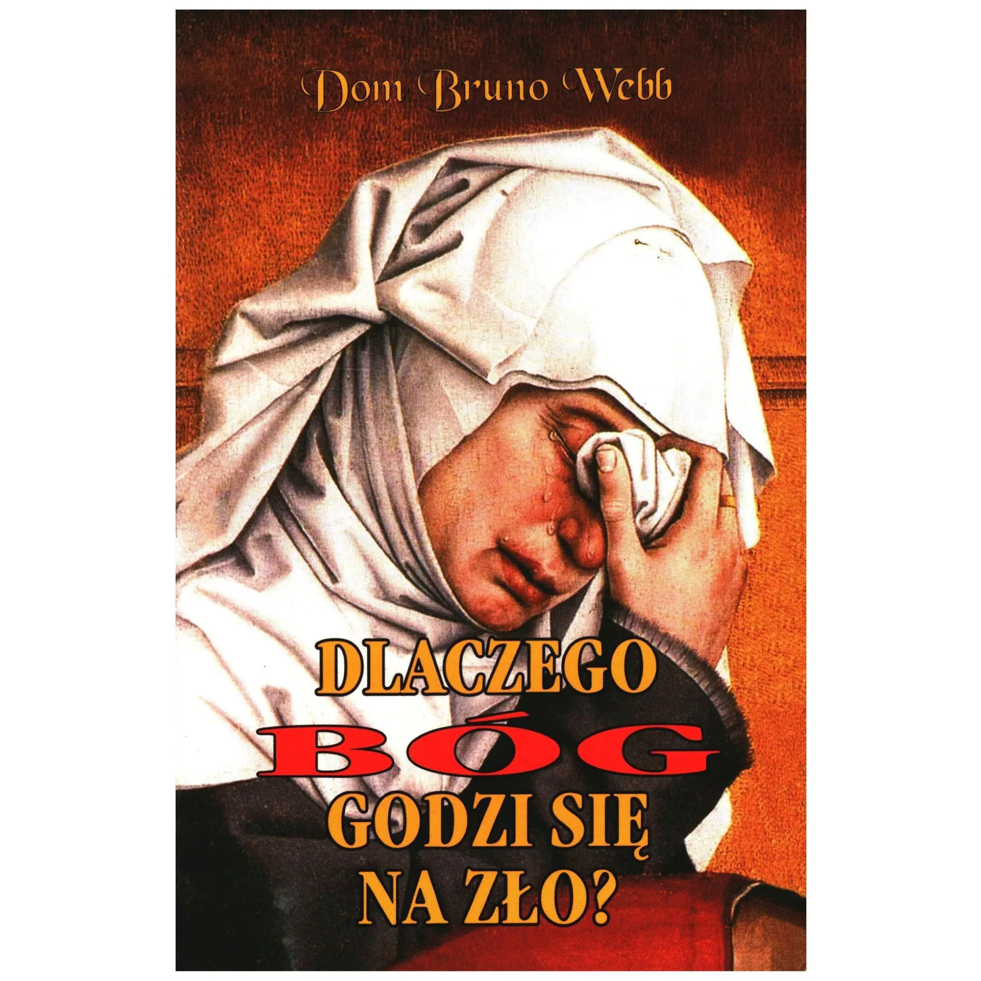 Książka - Dlaczego Bóg godzi się na zło?