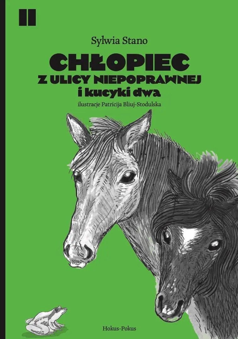 Książka - Chłopiec z ulicy Niepoprawnej i kucyki dwa