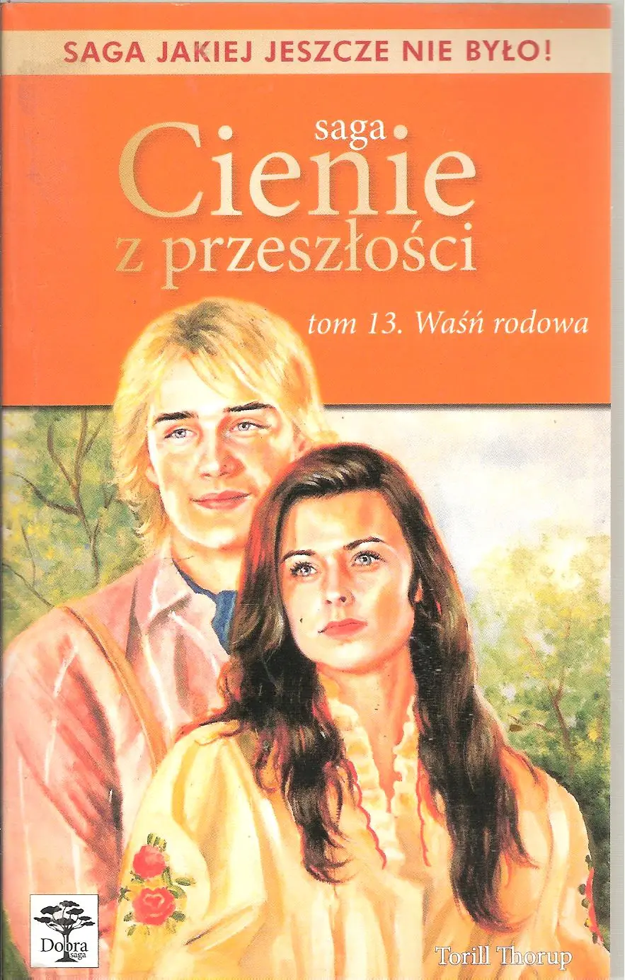 Książka - Saga Cienie z przeszłości. Tom 13 Waśń rodowa