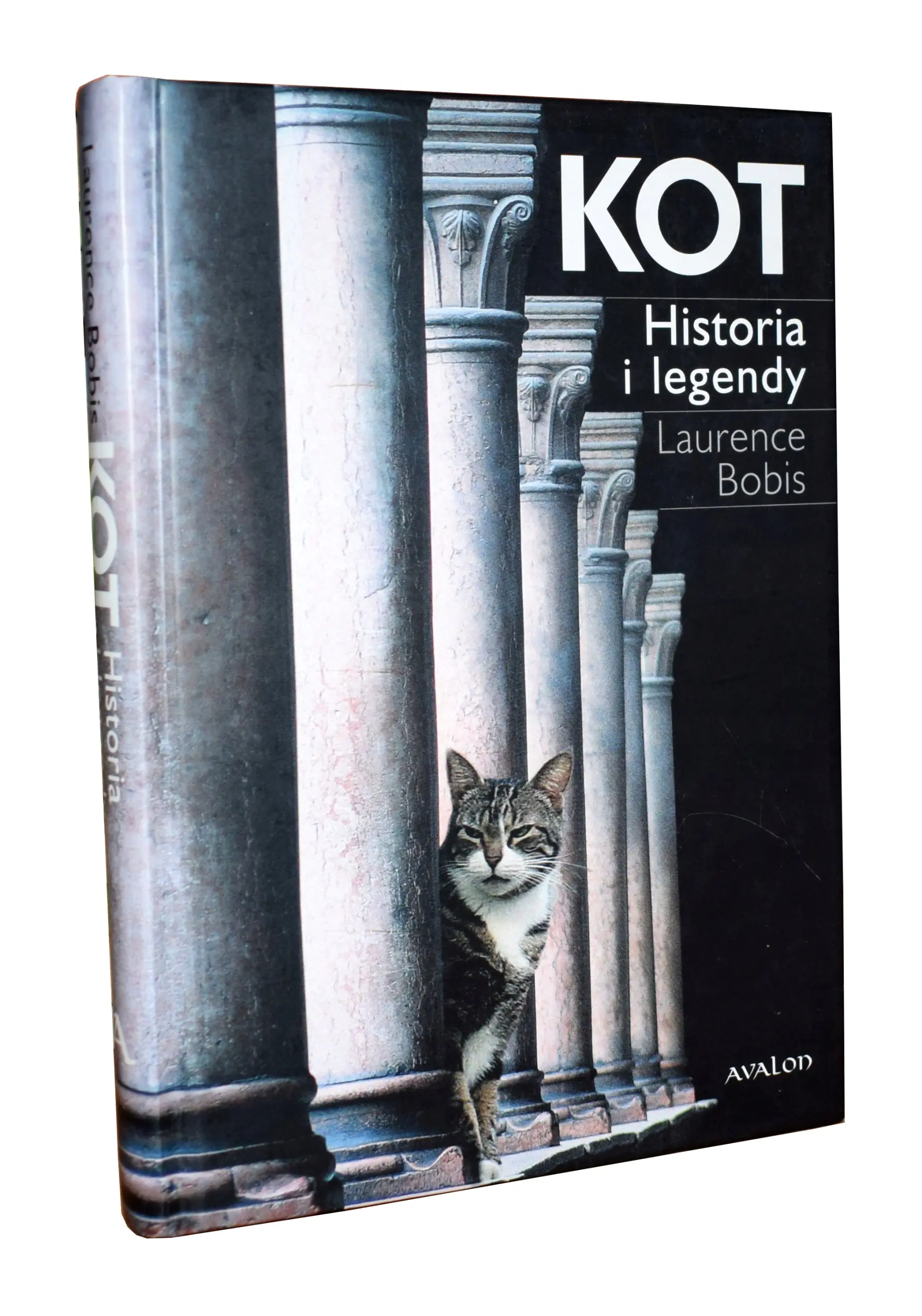 Książka - Kot Historia i legendy br