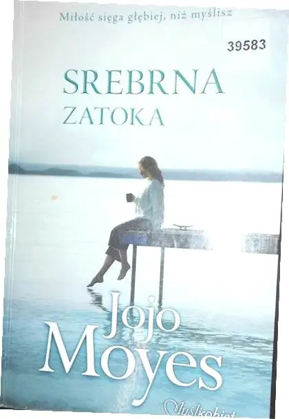 Książka - Srebrna Zatoka