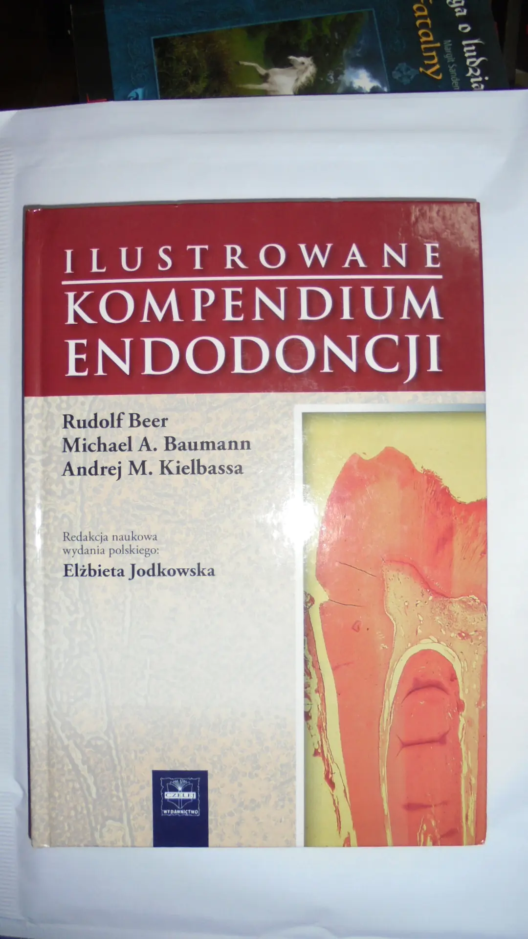 Książka - Ilustrowane kompendium endodoncji
