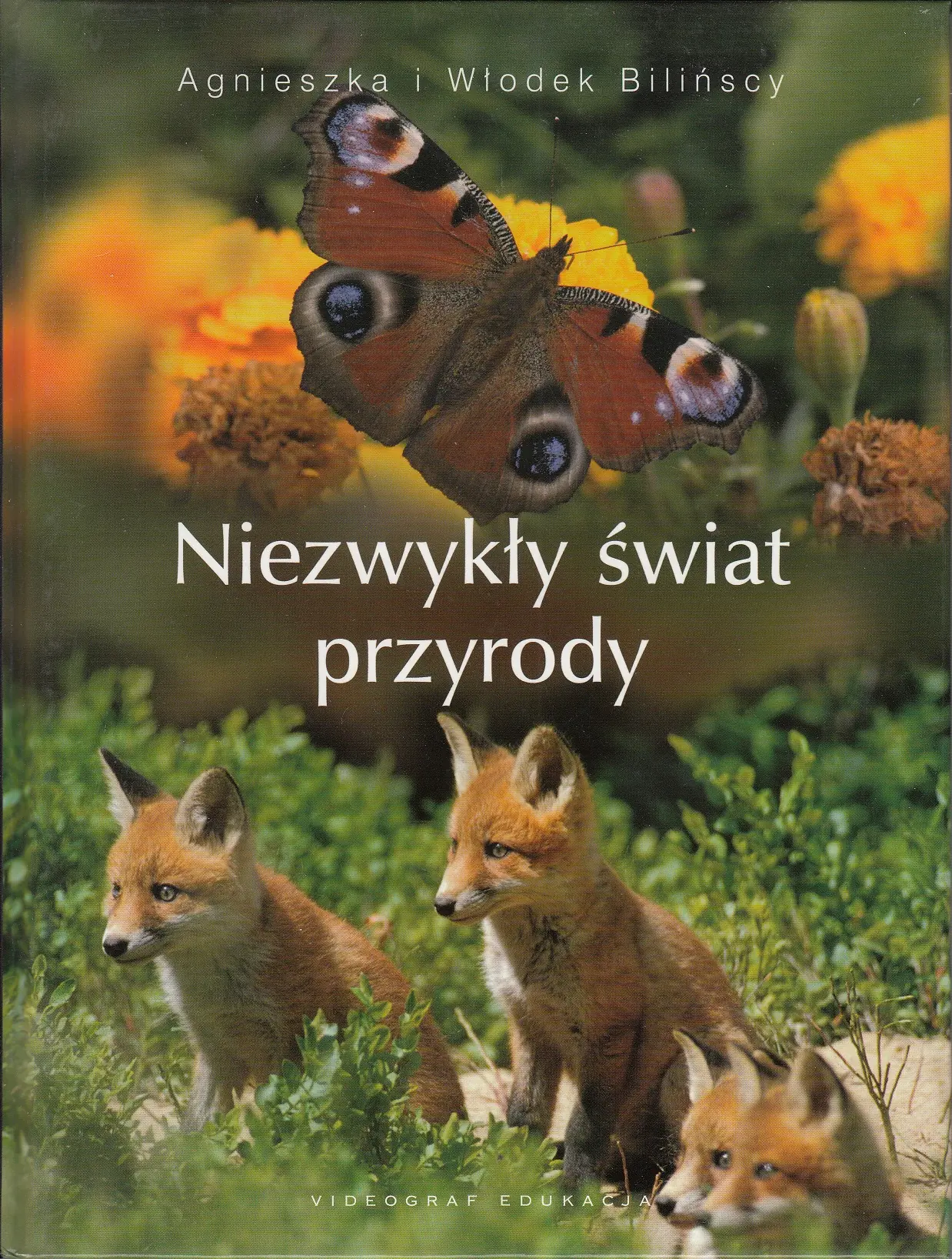 Książka - Niezwykły świat przyrody
