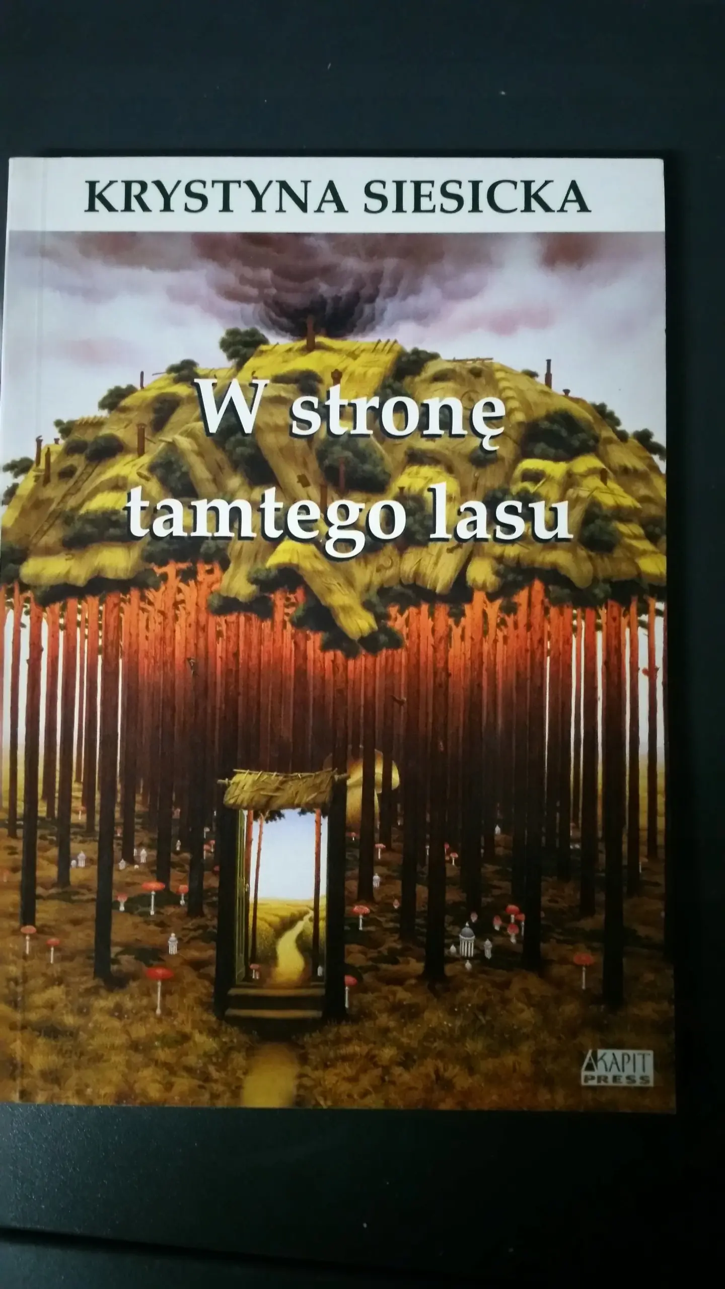Książka - W stronę tamtego lasu