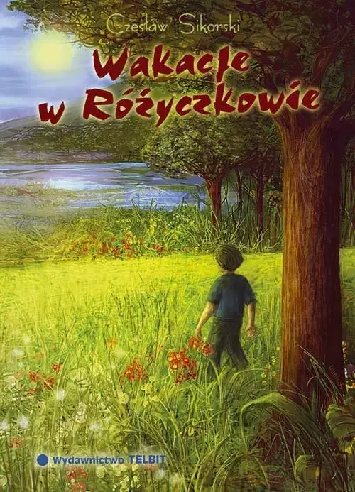 Książka - Wakacje w Różyczkowie