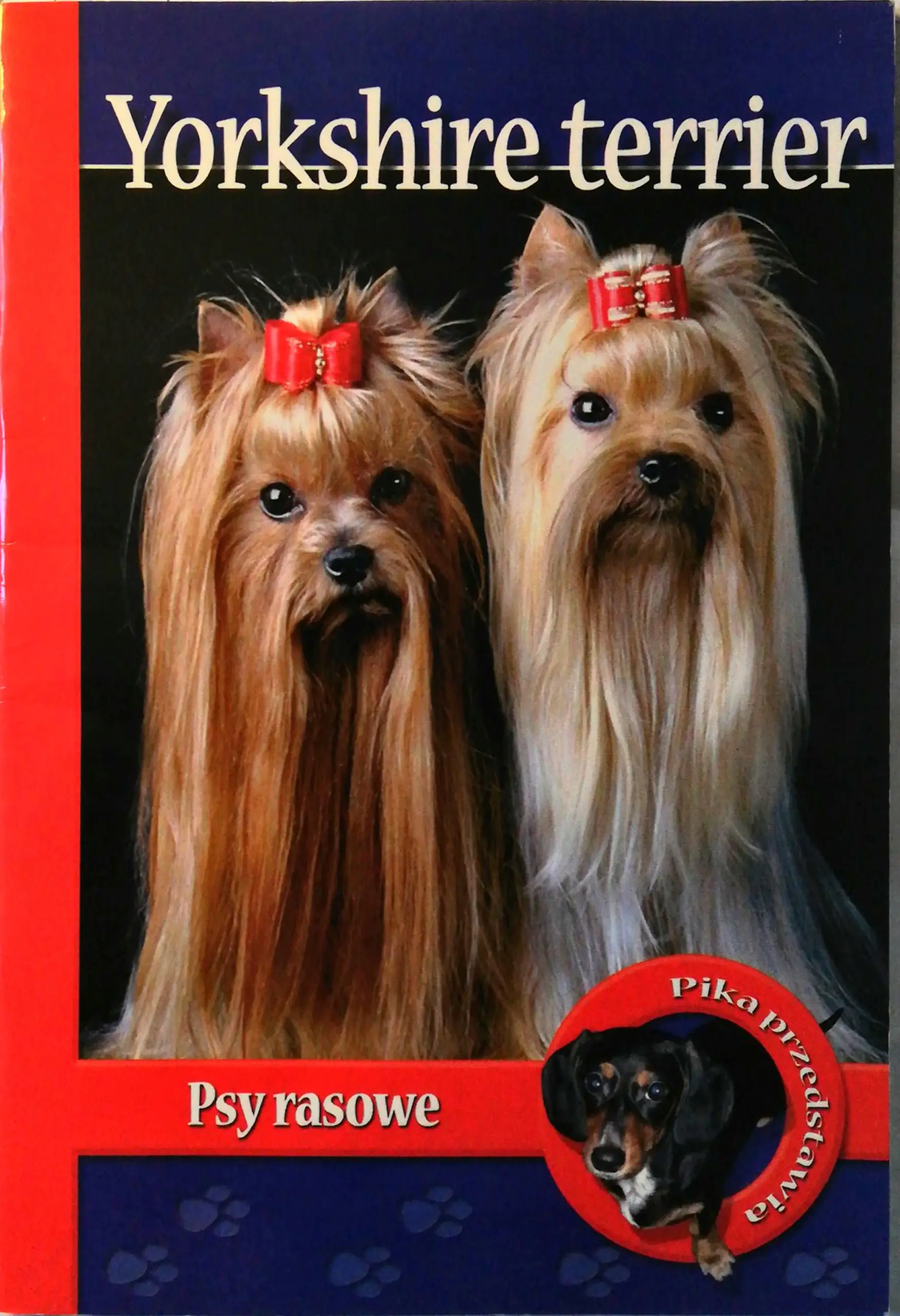 Książka - Pika przedstawia. Yorkshire terrier. Psy rasowe