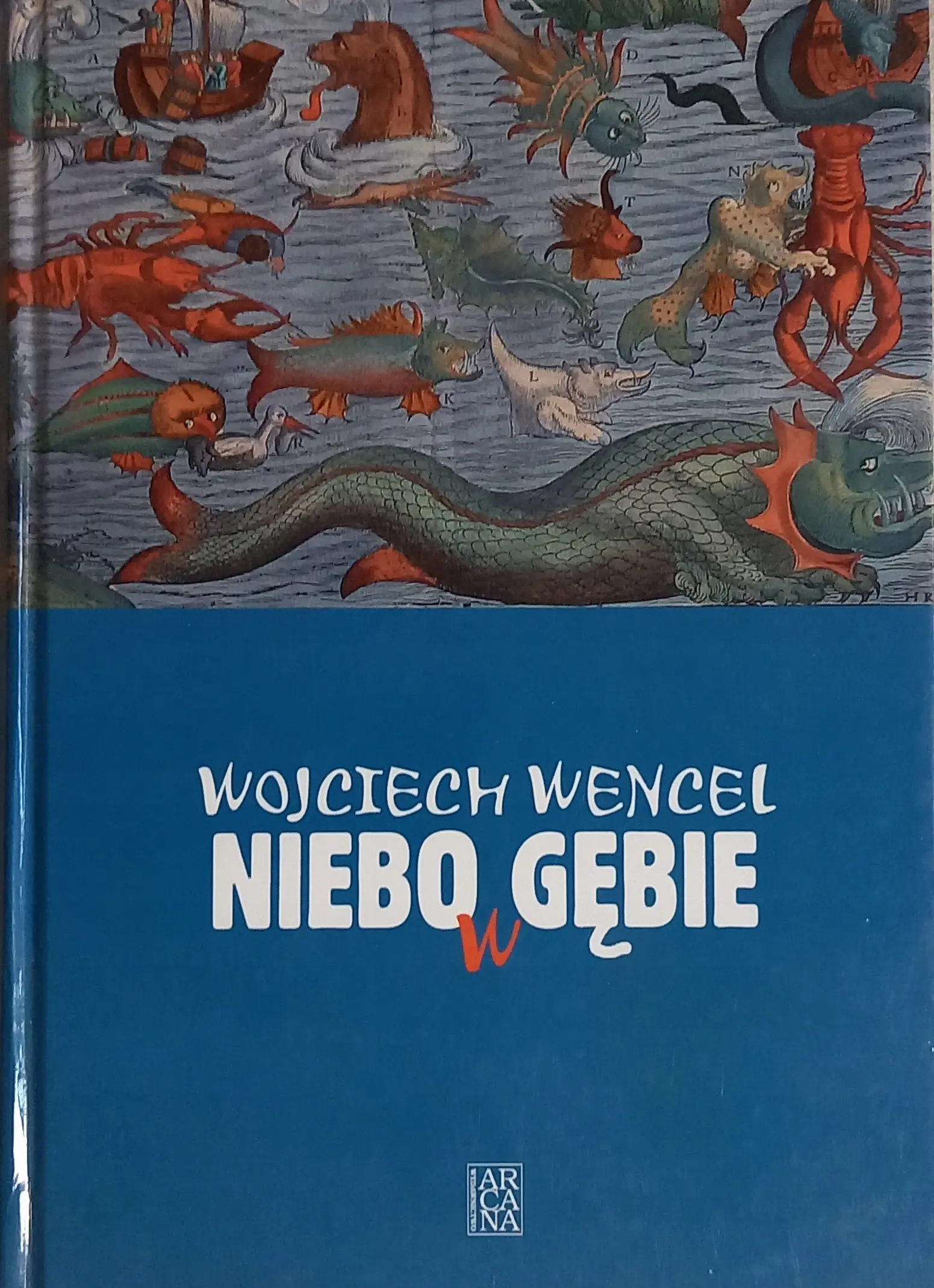 Książka - Niebo w gębie