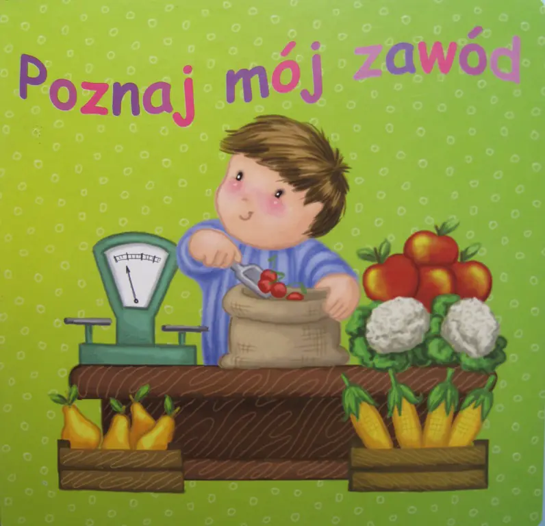 Książka - Poznaj mój zawód
