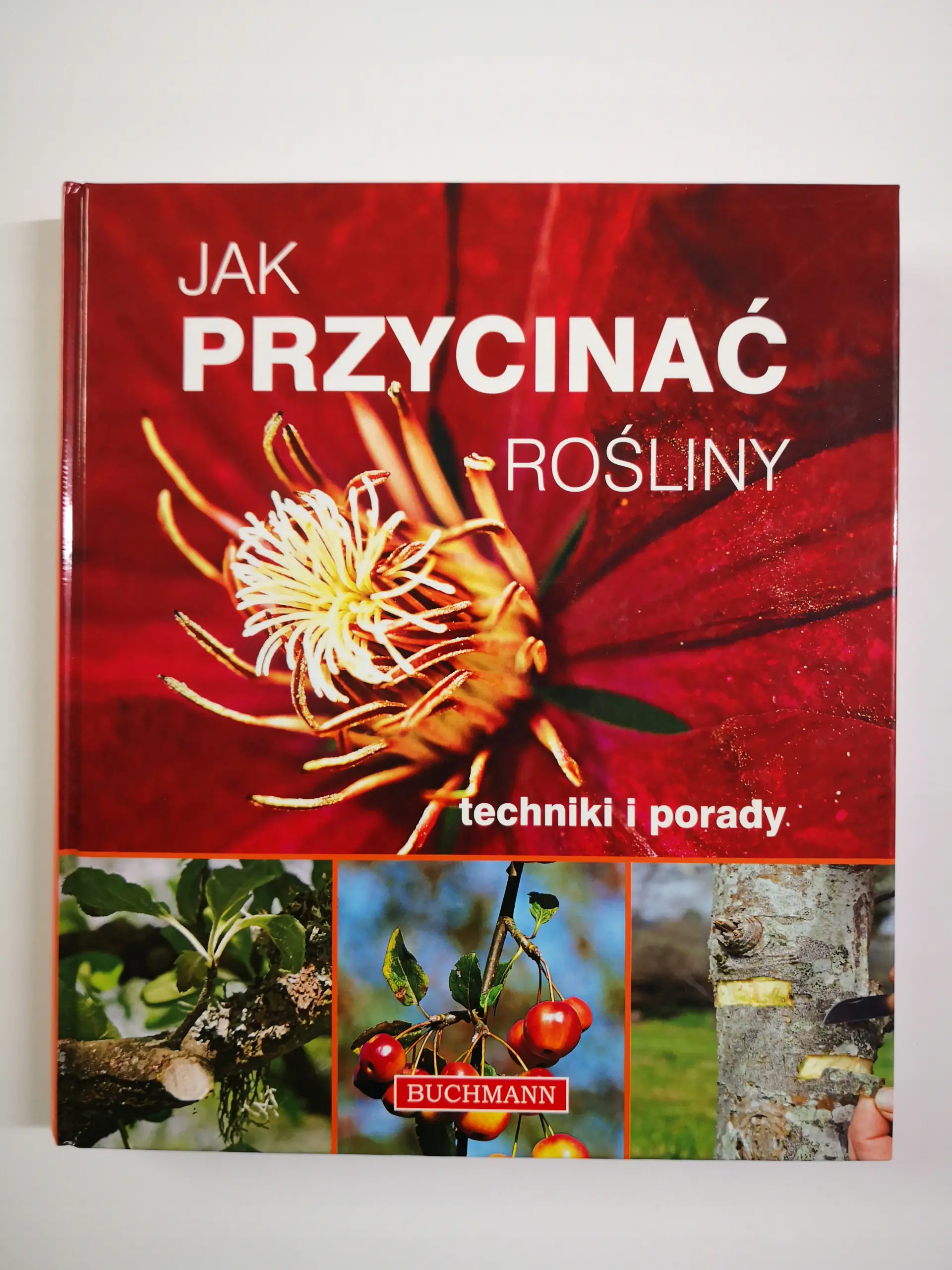 Książka - Najważniejsze miejsca święte. Miejsca pielgrzymek, kultu religijnego i duchowej potęgi